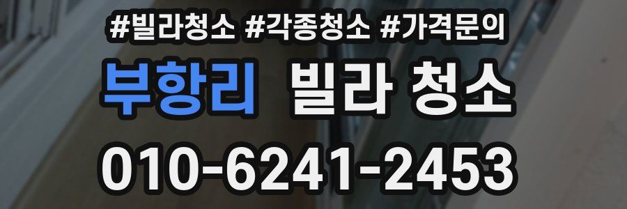 부항리 빌라 청소