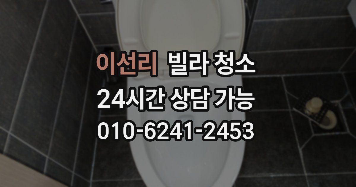 이선리 빌라 청소