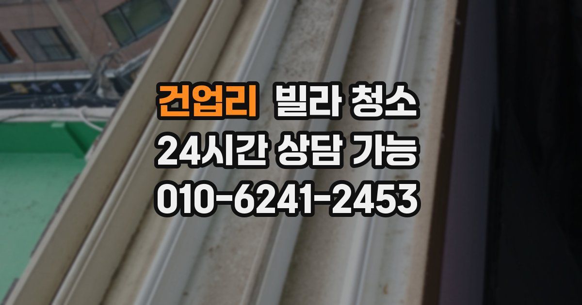건업리 빌라 청소
