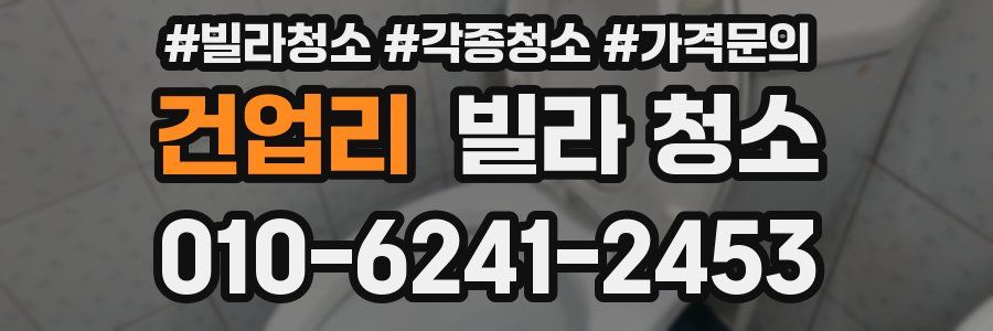 건업리 빌라 청소