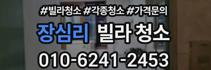 장심리 빌라 청소