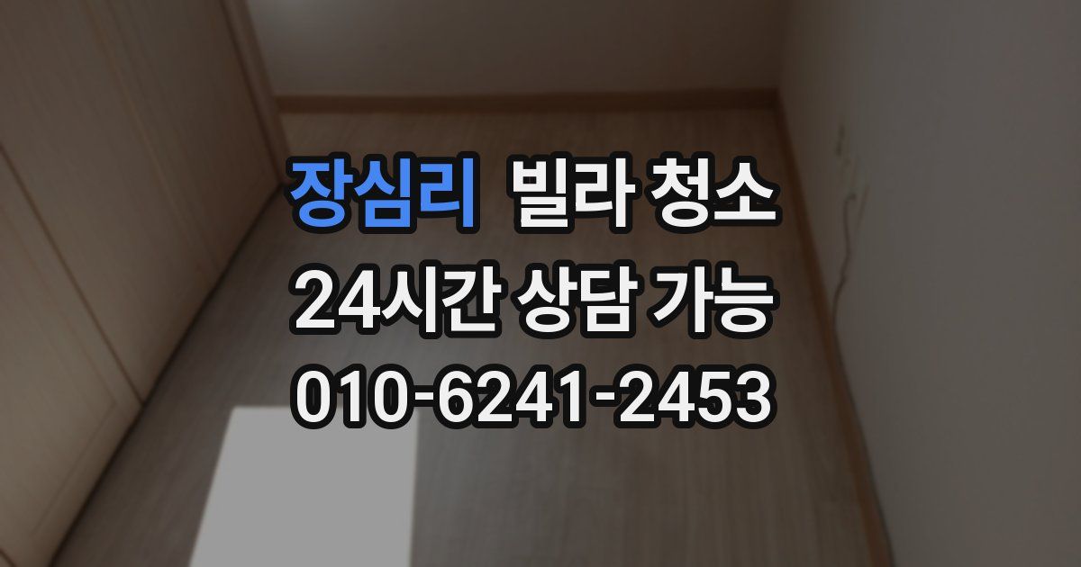 장심리 빌라 청소