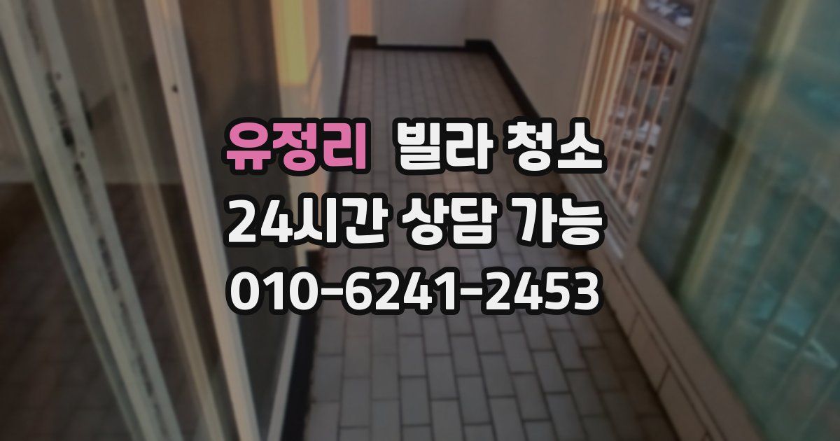 유정리 빌라 청소