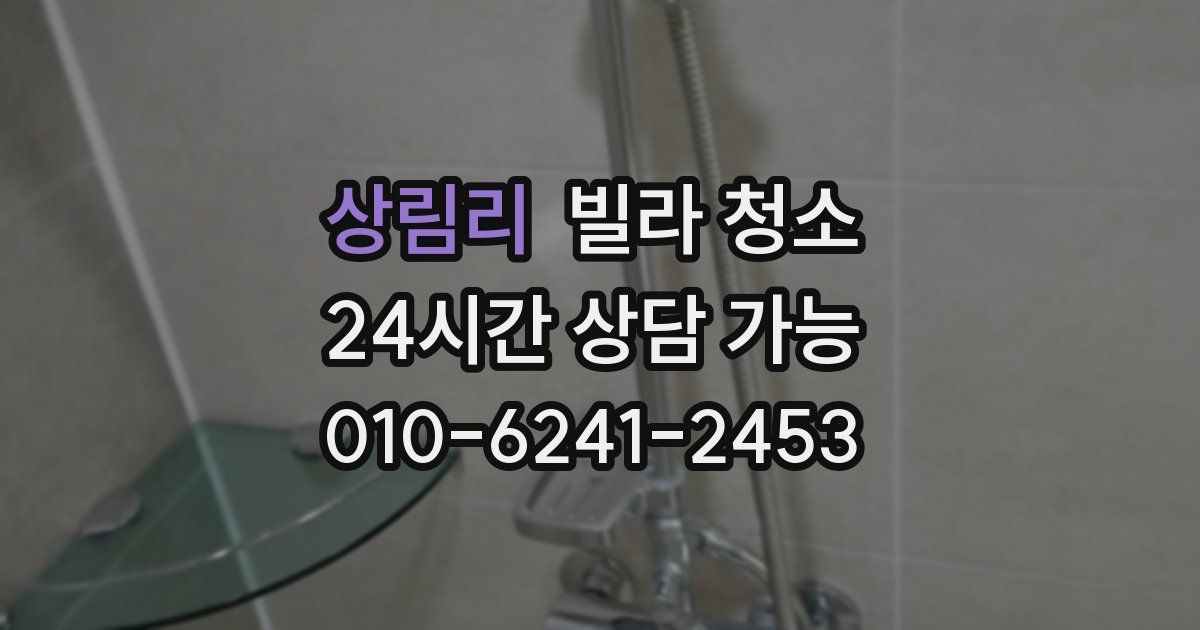 상림리 빌라 청소