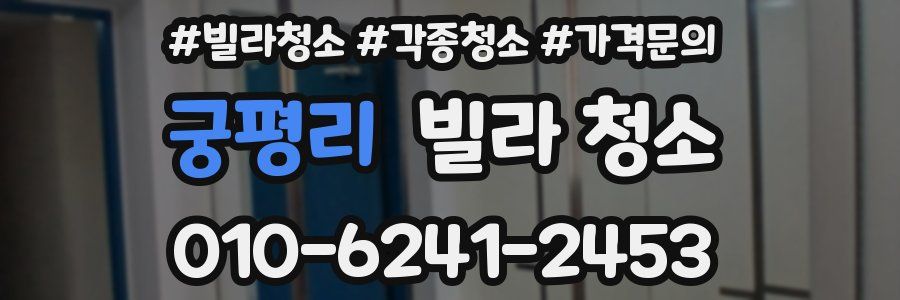 궁평리 빌라 청소