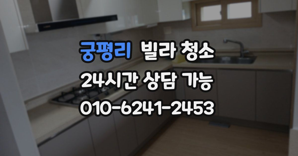 궁평리 빌라 청소