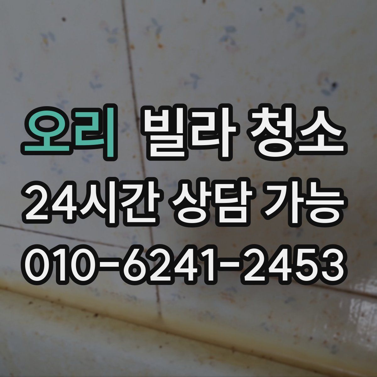 오리 빌라 청소