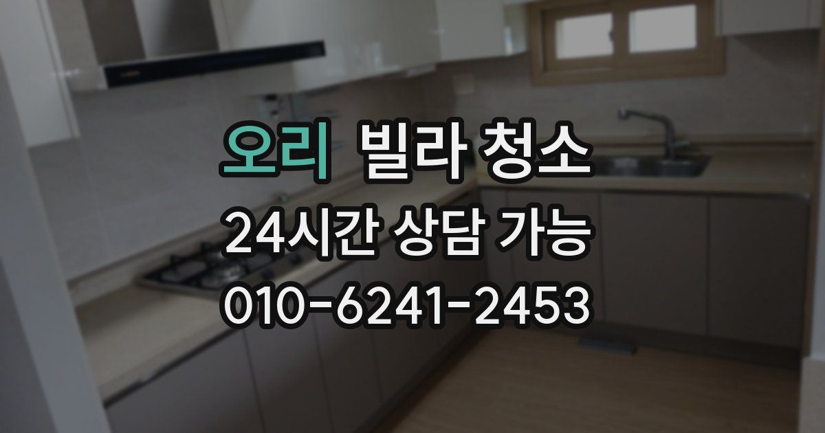 오리 빌라 청소