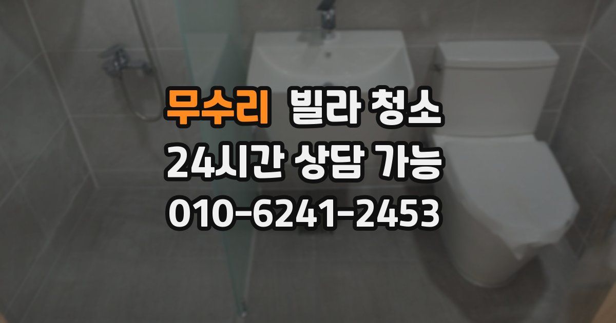 무수리 빌라 청소