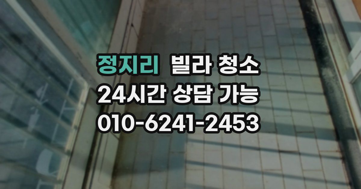 정지리 빌라 청소