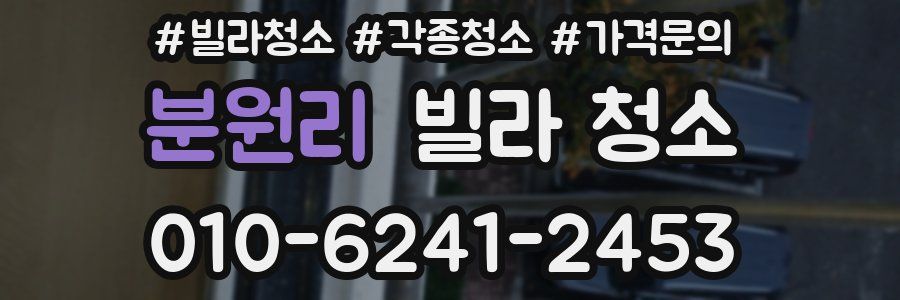 분원리 빌라 청소