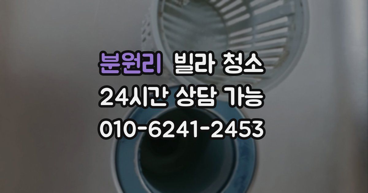 분원리 빌라 청소