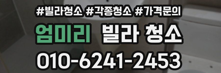 엄미리 빌라 청소