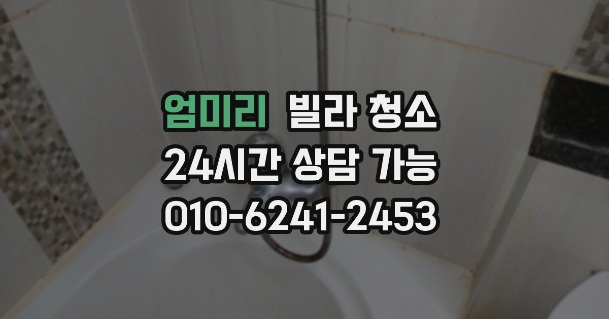 엄미리 빌라 청소