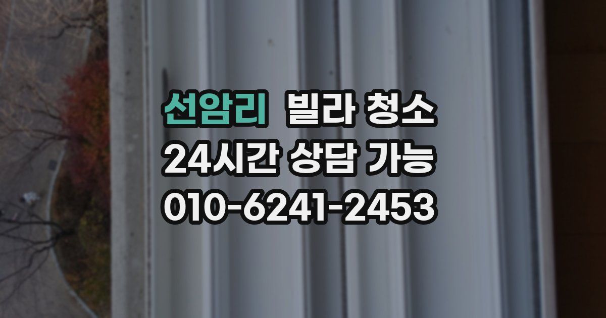 선암리 빌라 청소