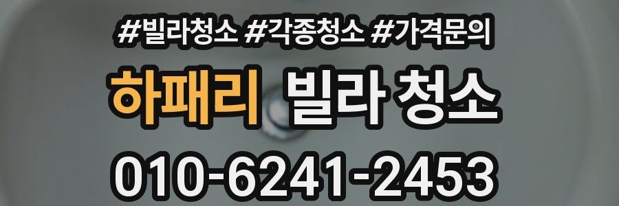 하패리 빌라 청소