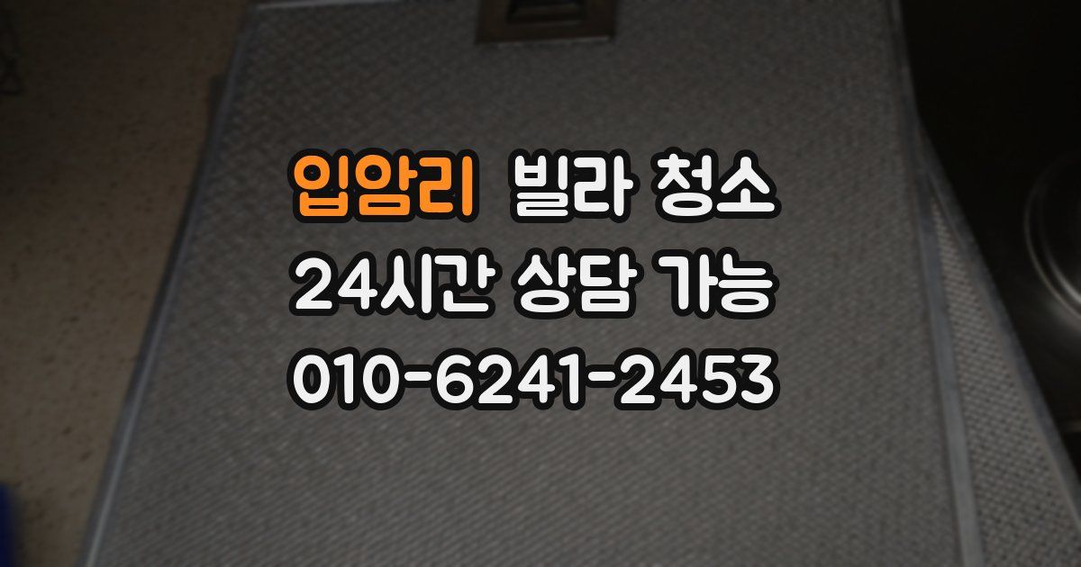 입암리 빌라 청소