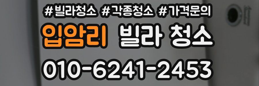 입암리 빌라 청소