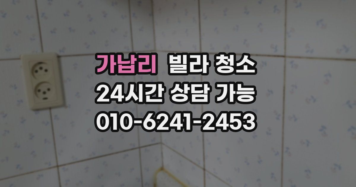 가납리 빌라 청소