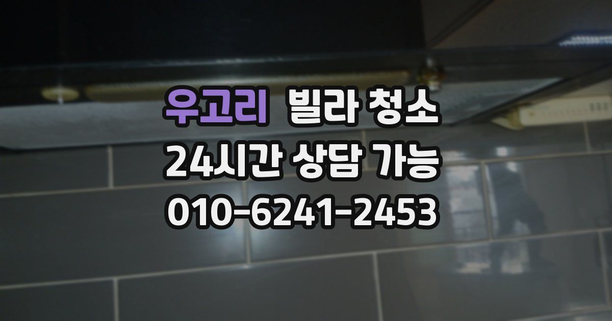 우고리 빌라 청소