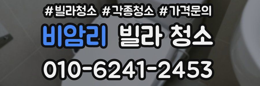 비암리 빌라 청소