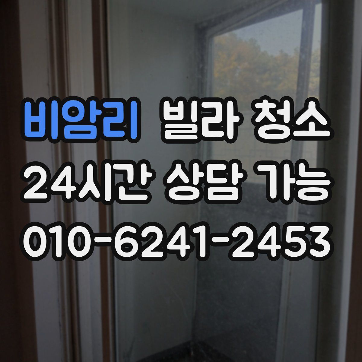 비암리 빌라 청소