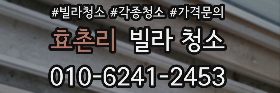 효촌리 빌라 청소