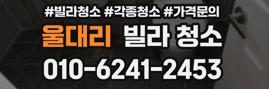 울대리 빌라 청소