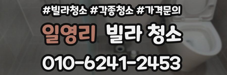 일영리 빌라 청소