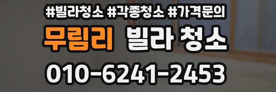 무림리 빌라 청소