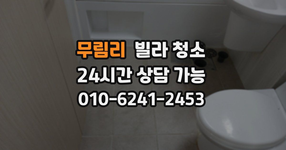 무림리 빌라 청소