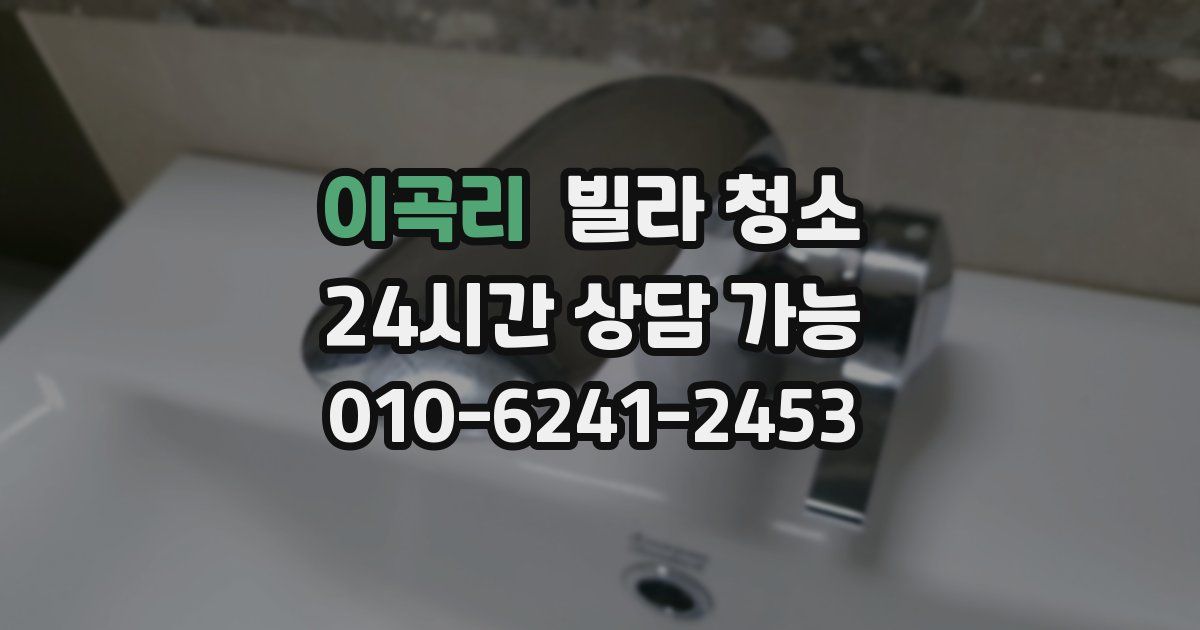 이곡리 빌라 청소