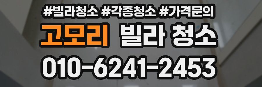 고모리 빌라 청소