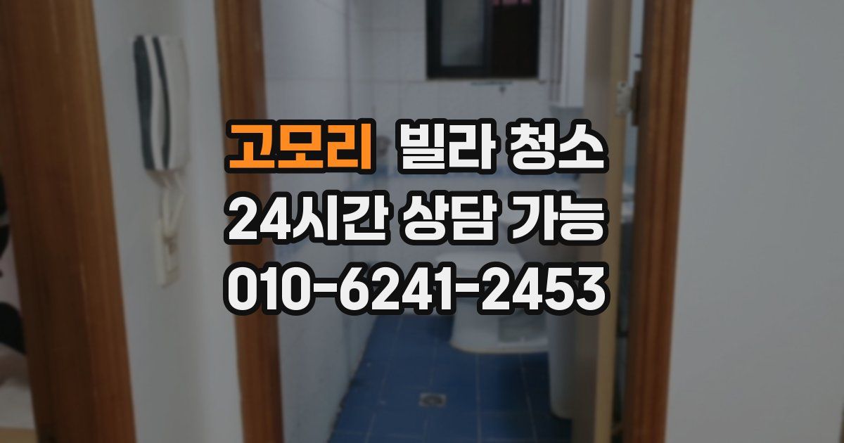 고모리 빌라 청소