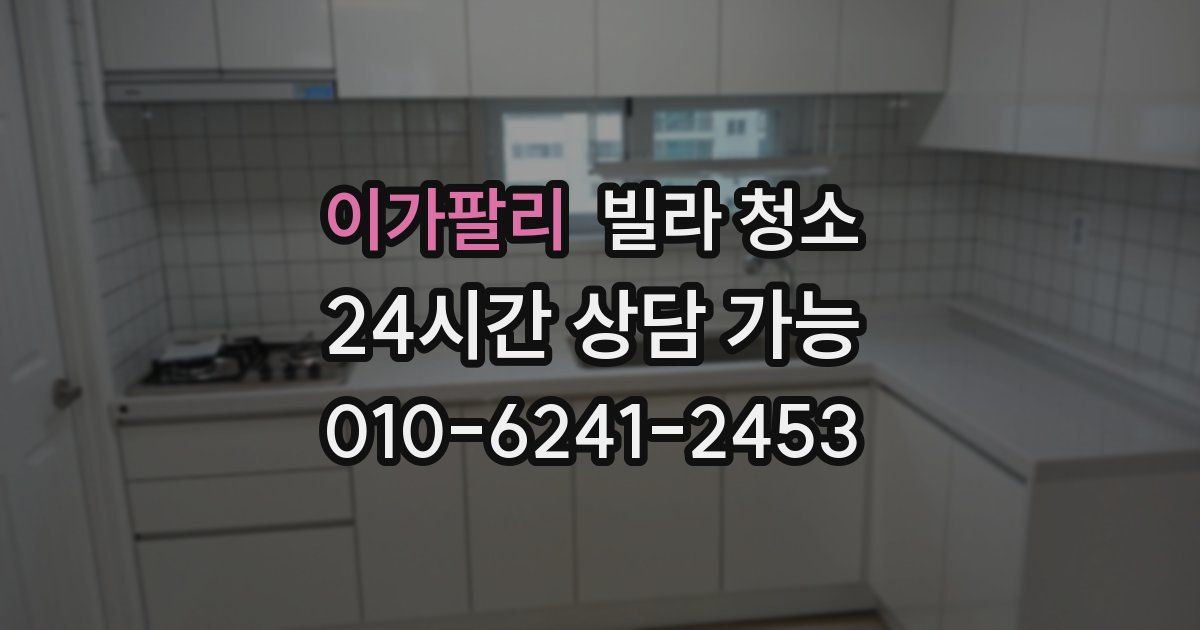 이가팔리 빌라 청소