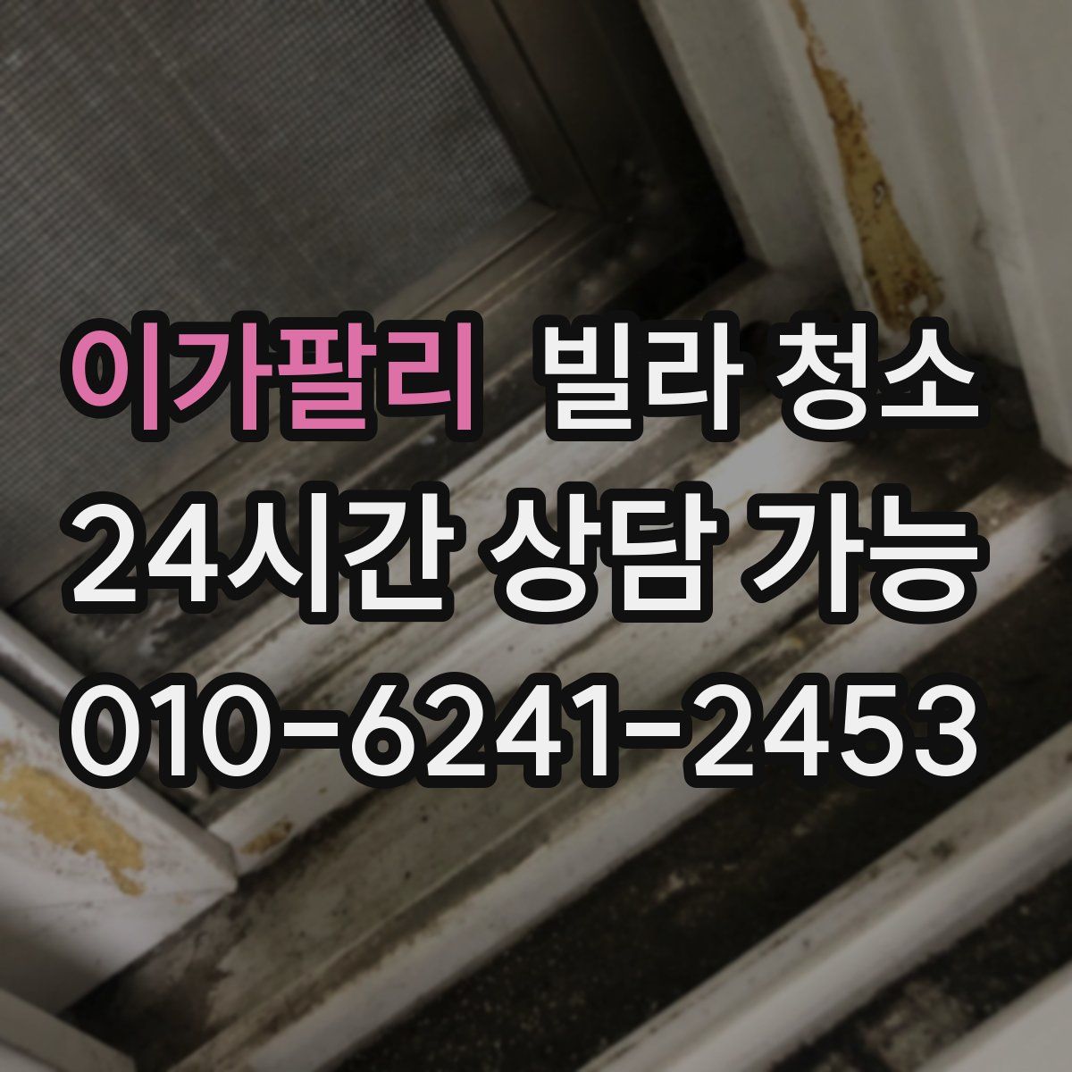 이가팔리 빌라 청소