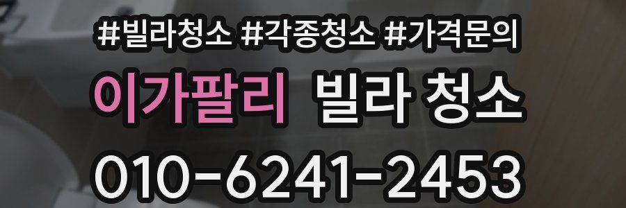 이가팔리 빌라 청소
