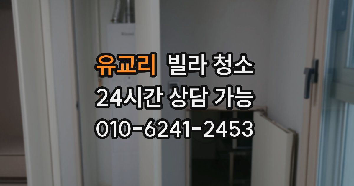 유교리 빌라 청소