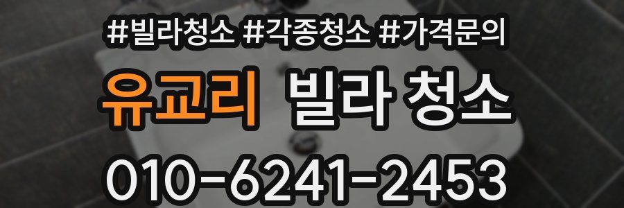 유교리 빌라 청소