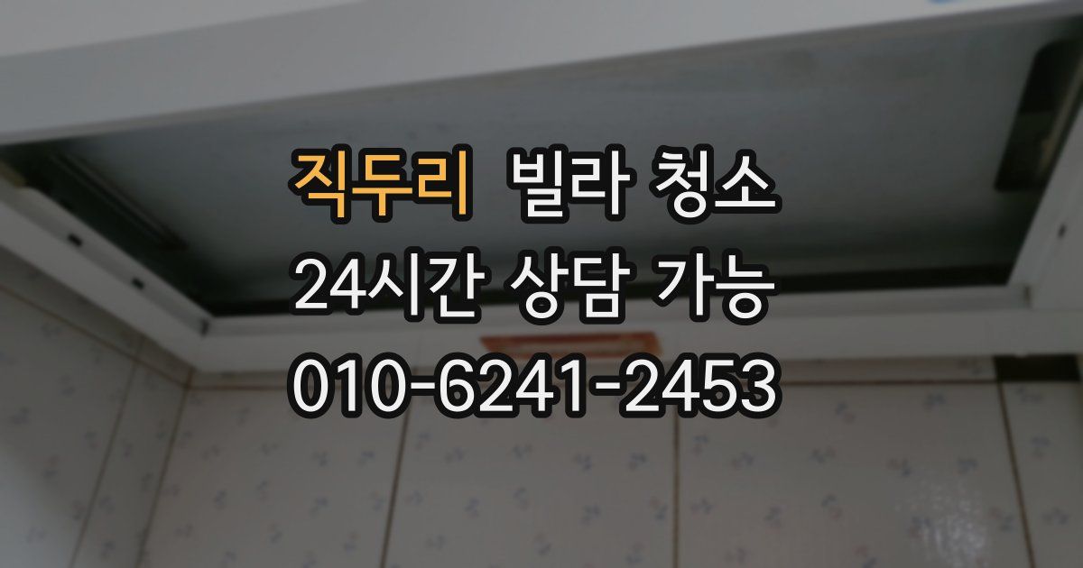 직두리 빌라 청소