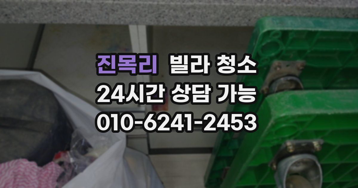 진목리 빌라 청소