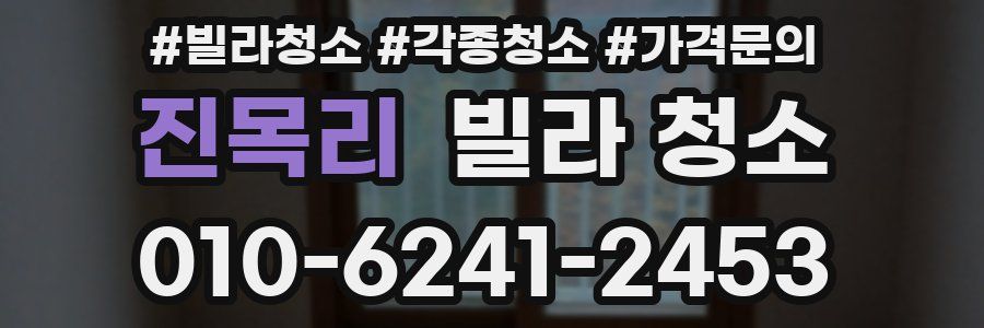 진목리 빌라 청소