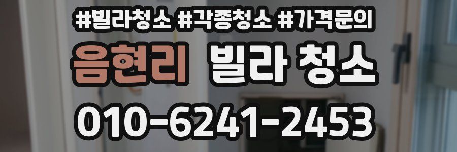 음현리 빌라 청소