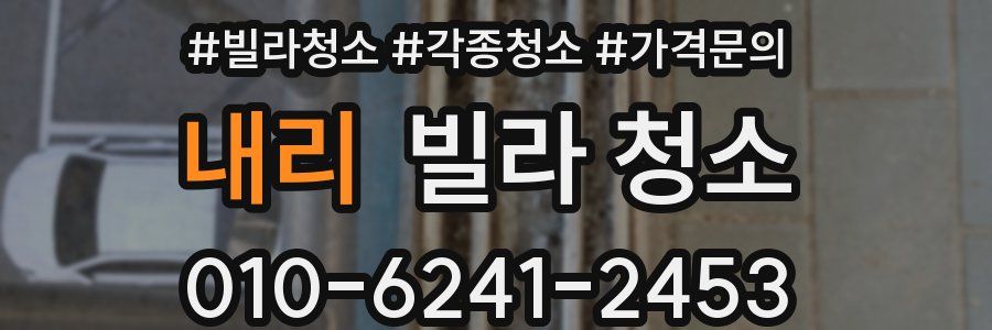내리 빌라 청소