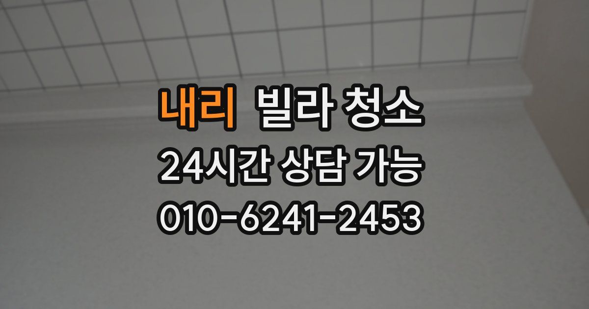 내리 빌라 청소