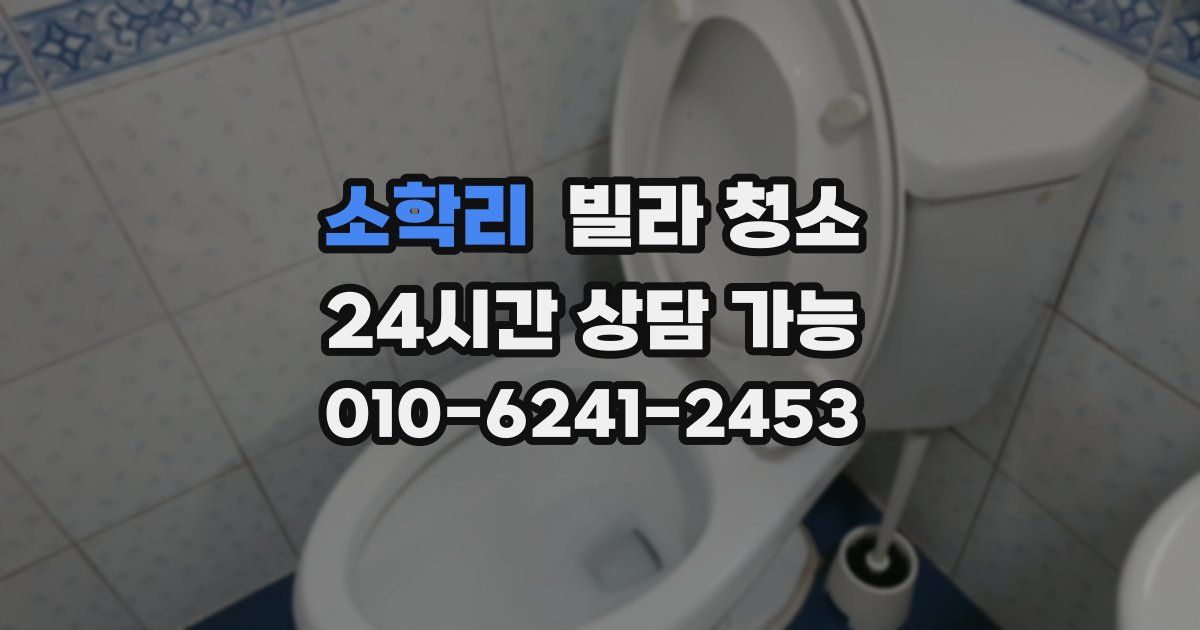 소학리 빌라 청소