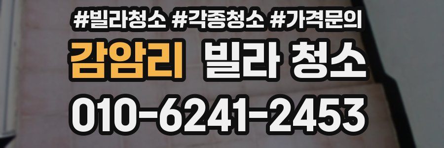 감암리 빌라 청소