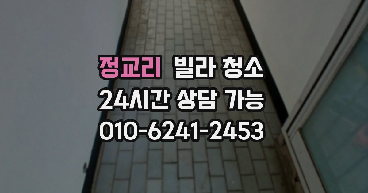 정교리 빌라 청소
