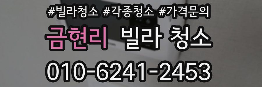 금현리 빌라 청소