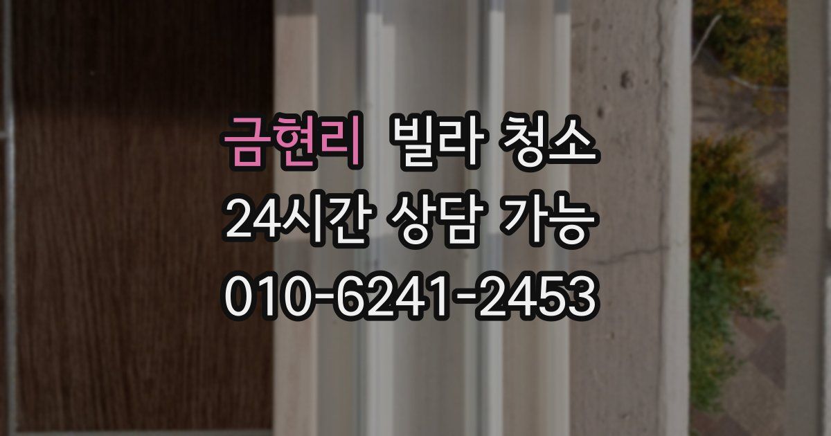 금현리 빌라 청소